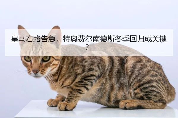 皇马右路告急，特奥费尔南德斯冬季回归成关键？
