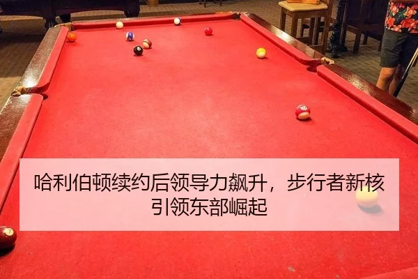 ha-li-bo-dun-xu-yue-hou-ling-dao-li-biao-sheng-bu-xing-zhe-xin-he-yin-ling-dong-bu-jue-qi-3-968.jpg